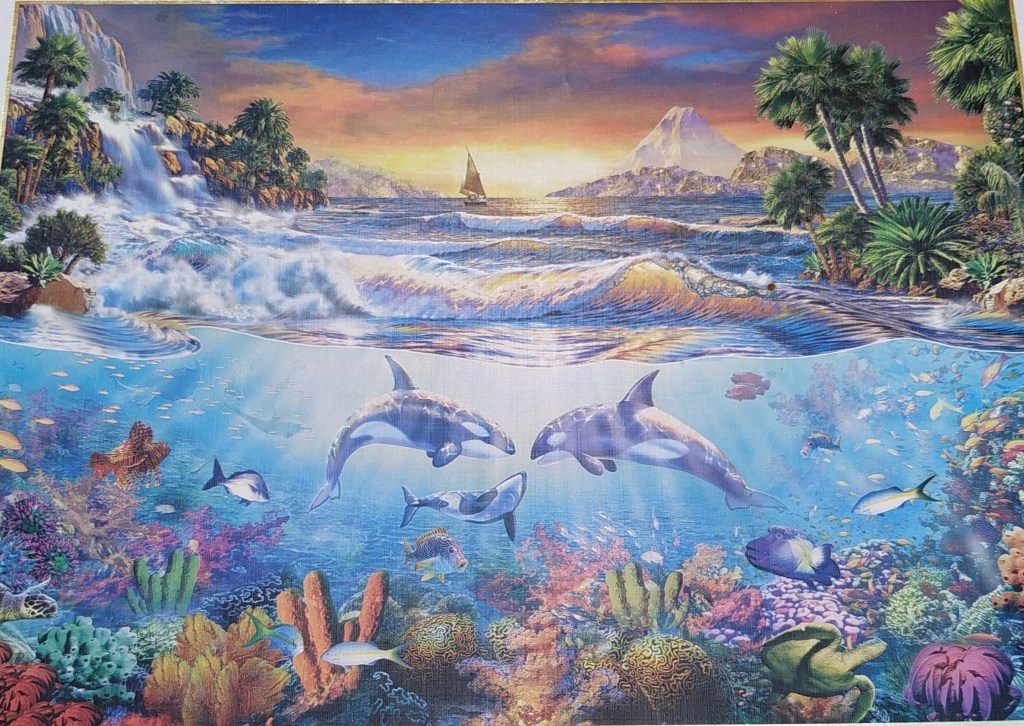 Objetivo (Número 223)