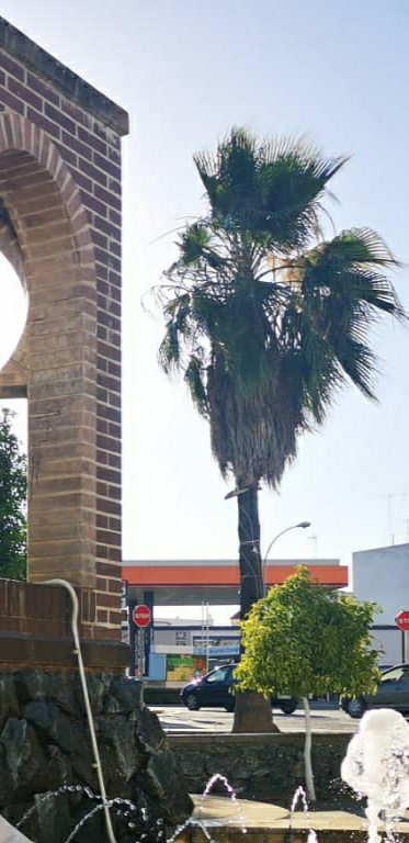 Cada roce ( Número 440)