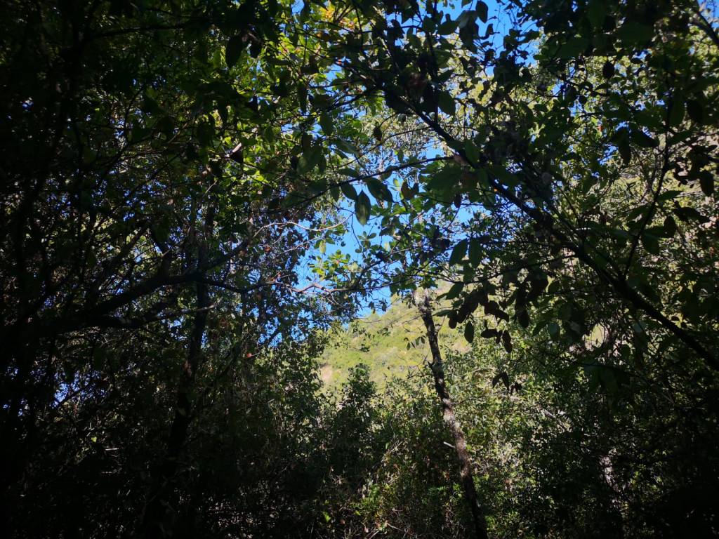 Alcohol (Número 562) Míriam Fotos Wabisabi