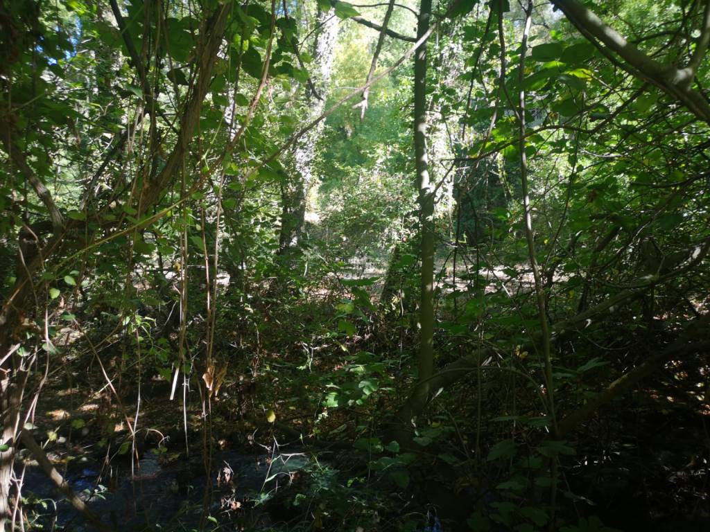 Recompensa (Número 564) Míriam Fotos&nbsp;Wabisabi