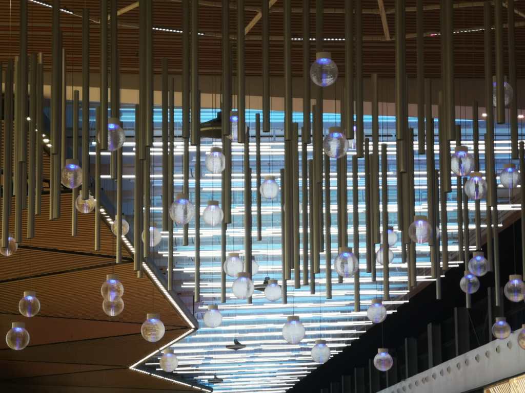 Poema al cáncer. Soneto (Número 582) Míriam Fotos Wabisabi