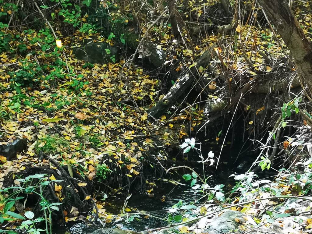 Albert Rivera (Número 598) Míriam Fotos&nbsp;Wabisabi