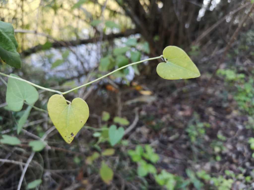 Extraños (Número 639) Míriam Fotos Wabisabi