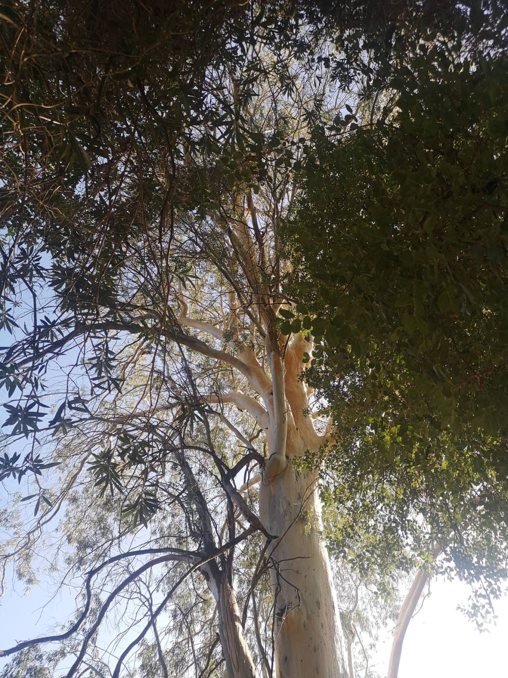 Tiempo perterritus (Número 638) Míriam Fotos&nbsp;Wabisabi