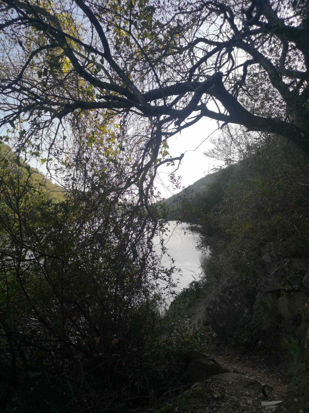 Soneto a mi sobrino por Navidad (Número 634) Míriam Fotos Wabisabi