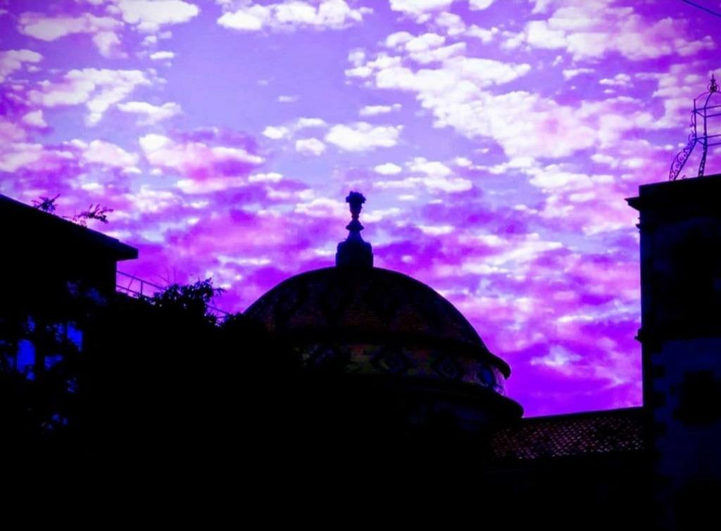 Seguidores (Número 654) Míriam Fotos Wabisabi