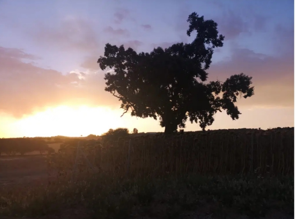 Existence de réflexion à&nbsp;court