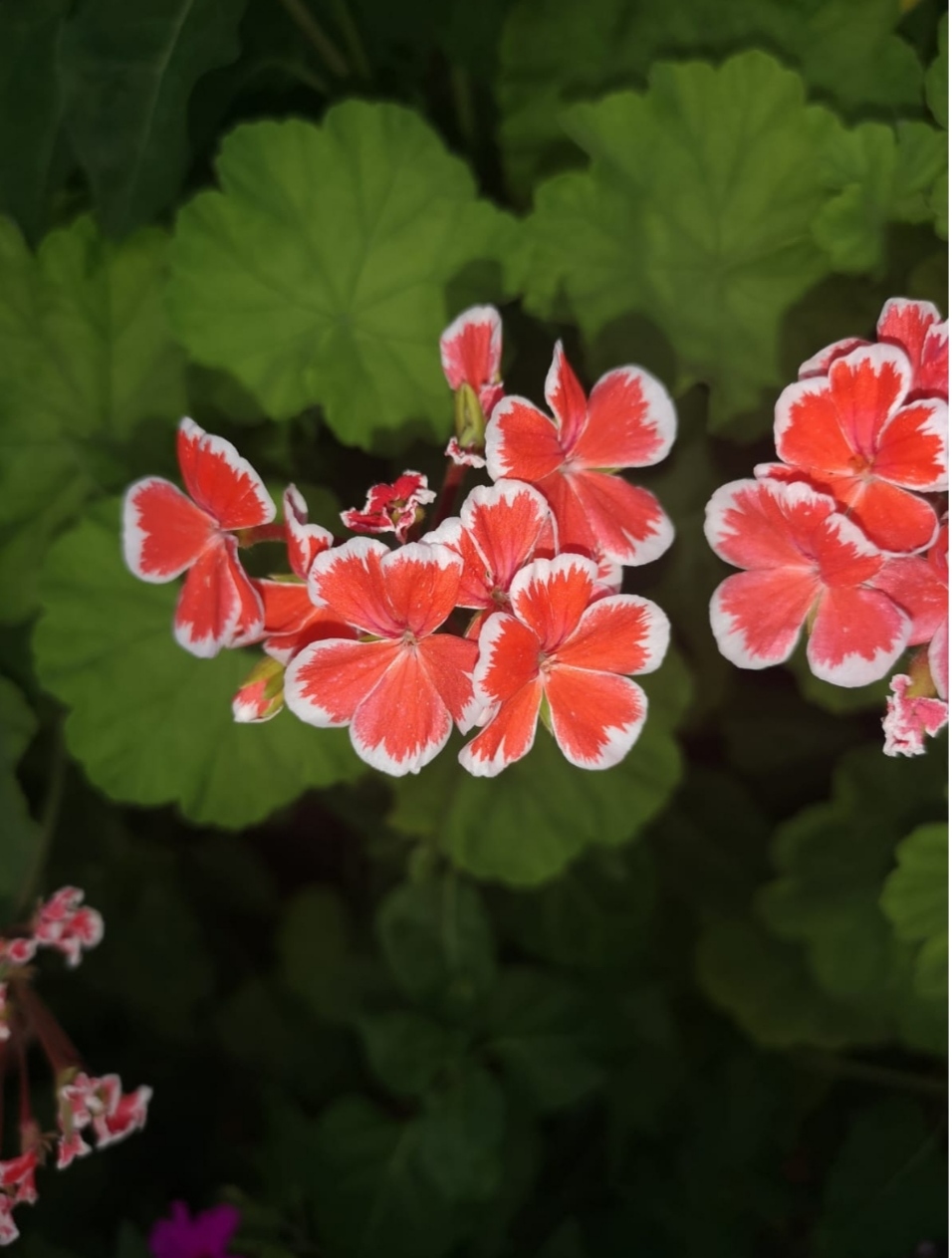 En cas de&nbsp;catastrophe