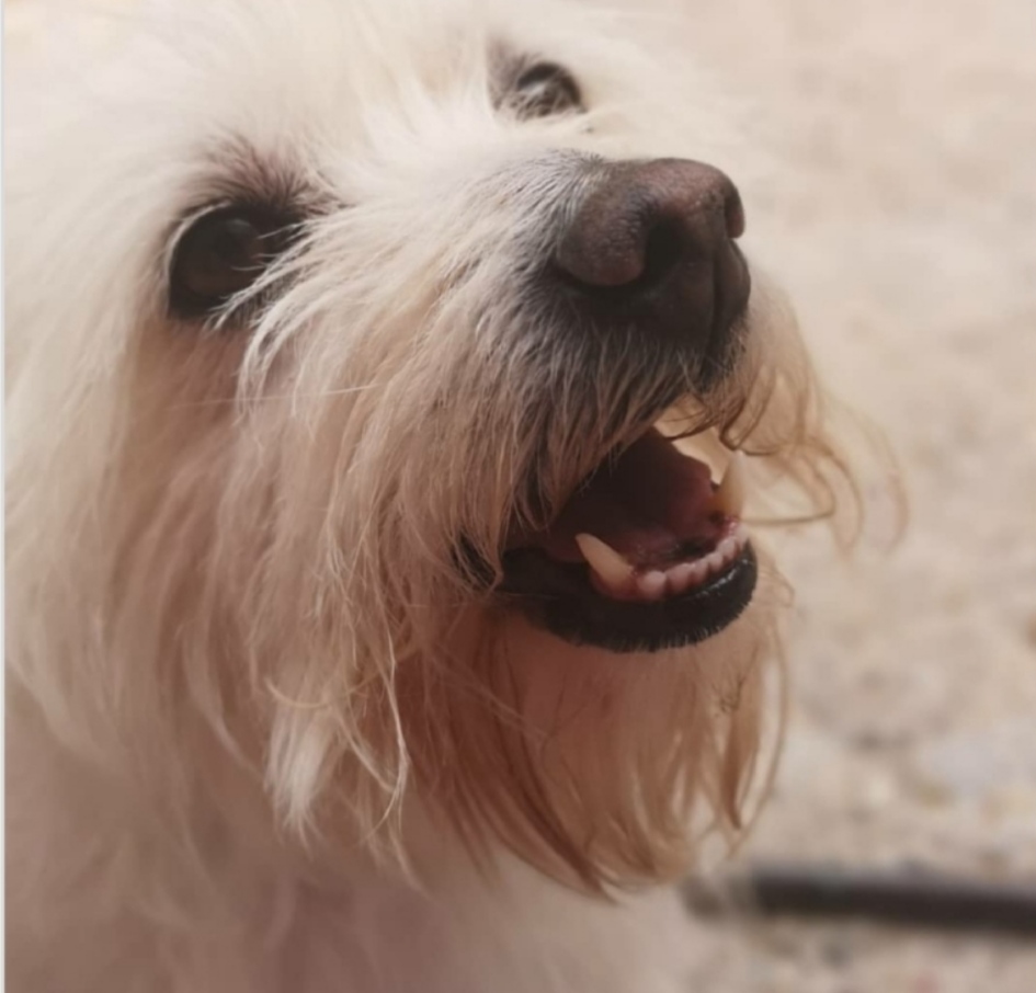 Notes from a&nbsp;piano