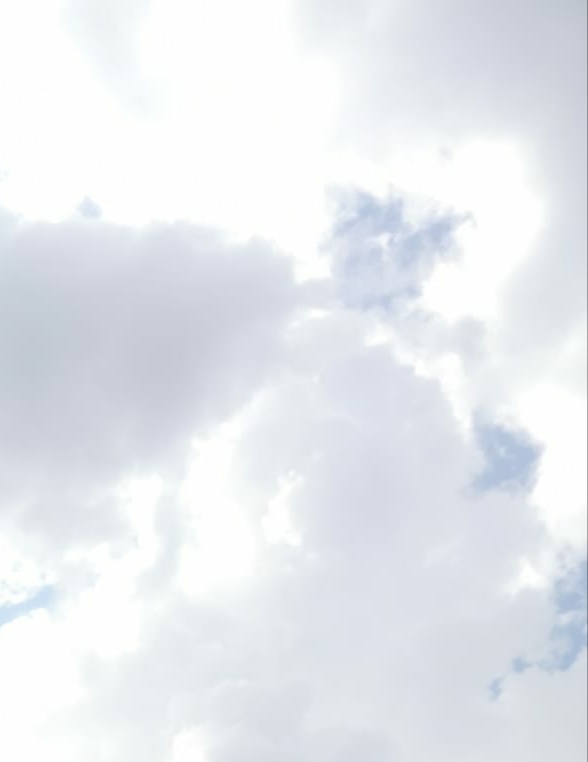 Lágrima (Número 85)