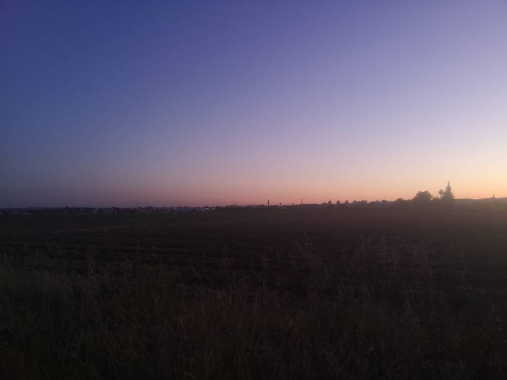 Delicias (Número 102)