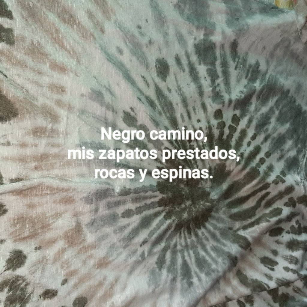 Senryu (Número 821)