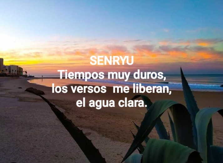 Senryu (Número 867)