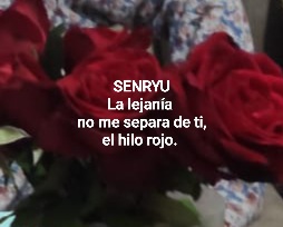 Senryu (Número 857)