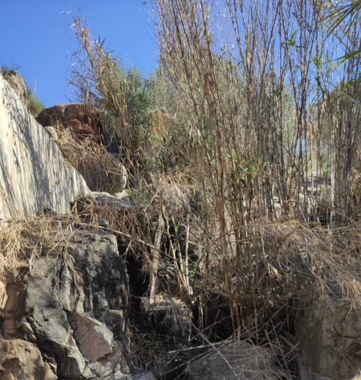 Fuente del amor (Número 895)