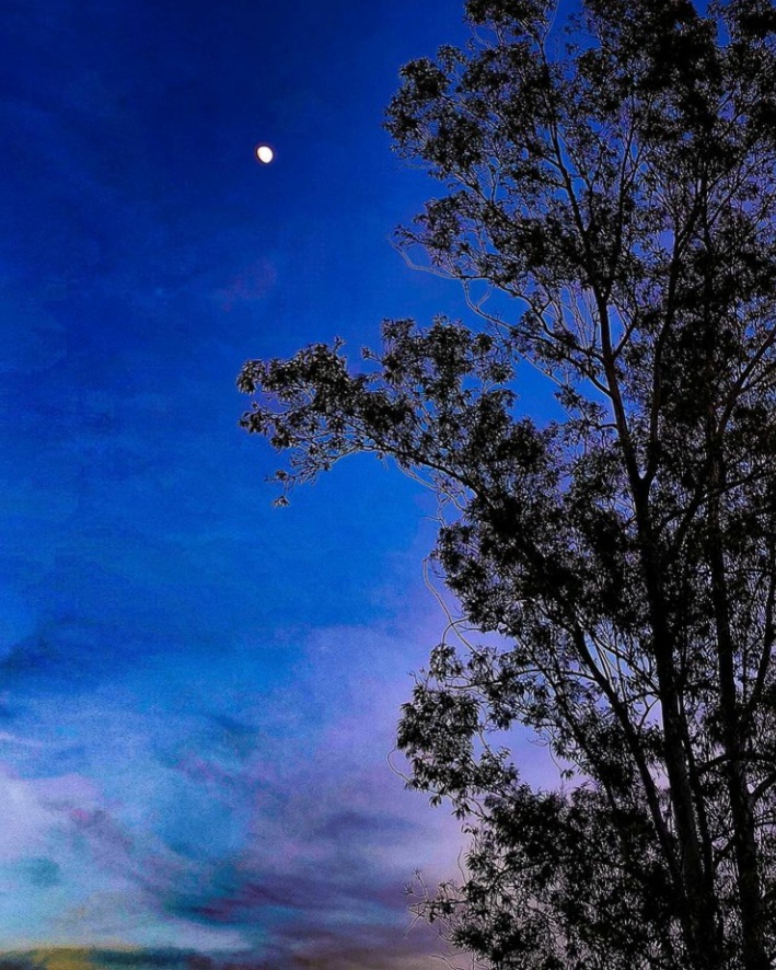 Otra oportunidad (Número 924)