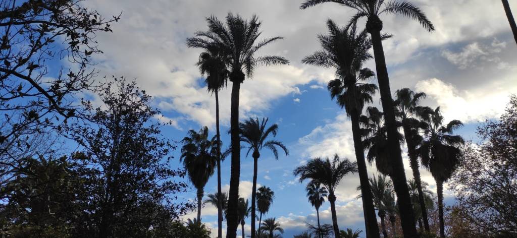 Inter portas mortis (Número 942)