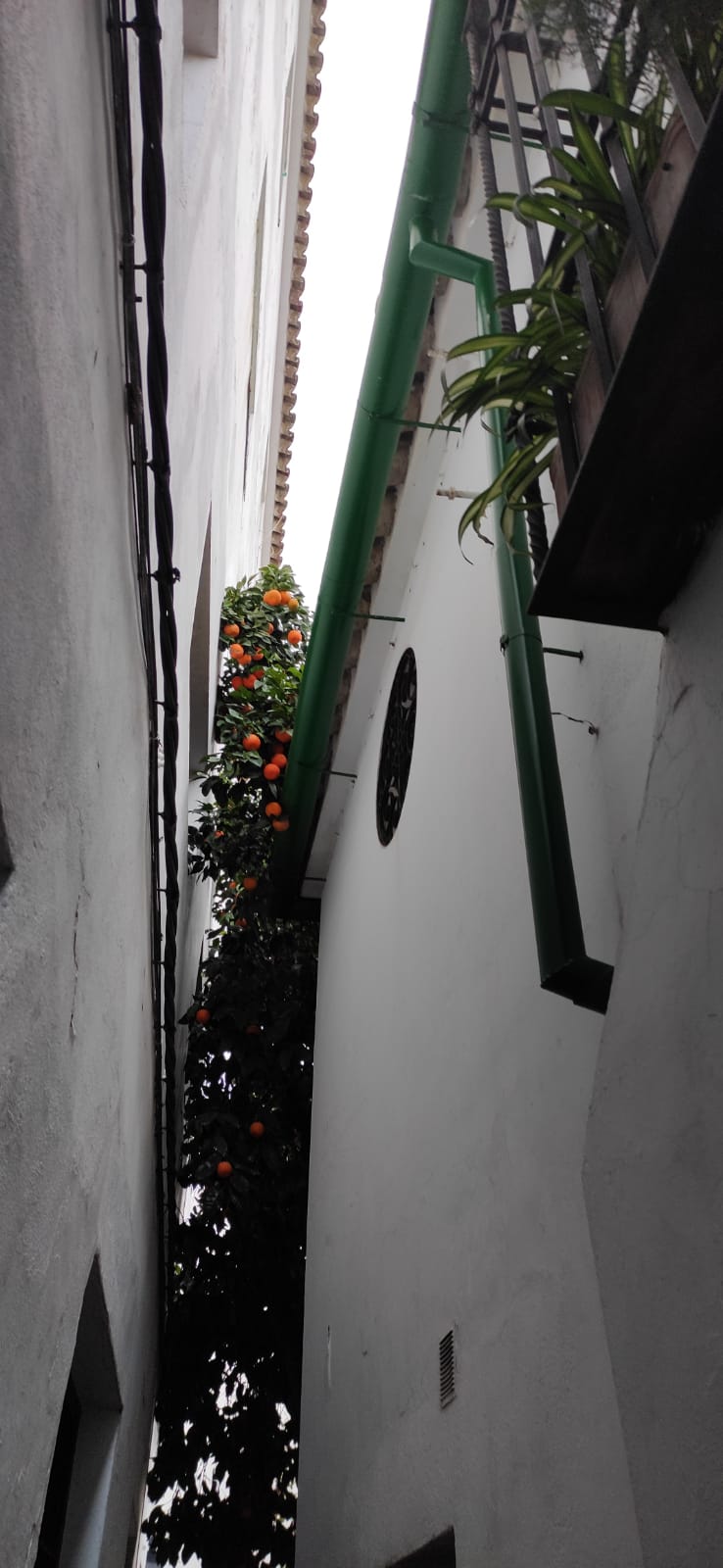 Injusta ida (Número&nbsp;937)