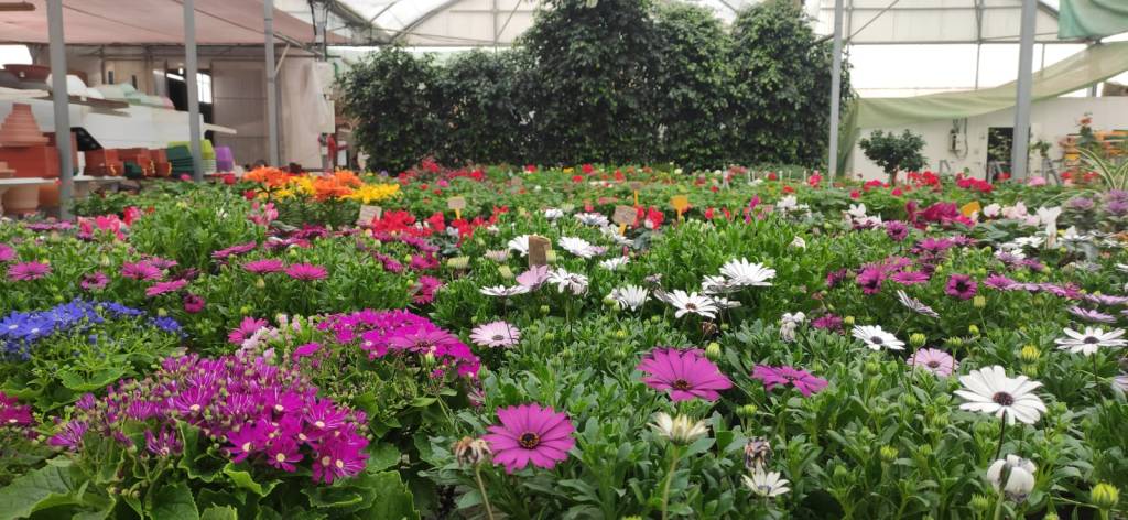 Tempestades (Número 952)