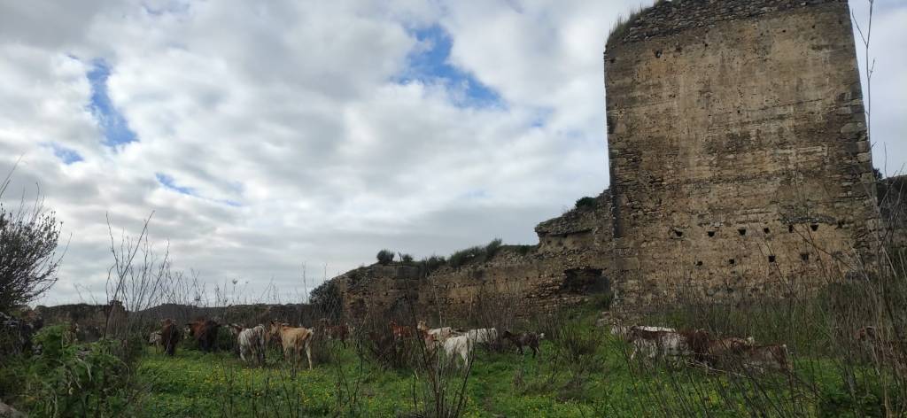 Mi casa (Número&nbsp;960)