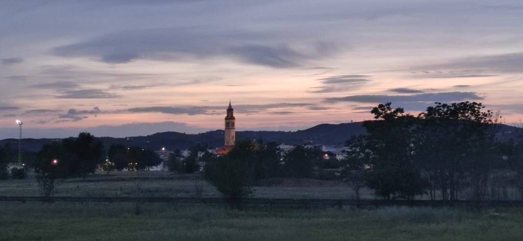 Vita (Número 1.009)