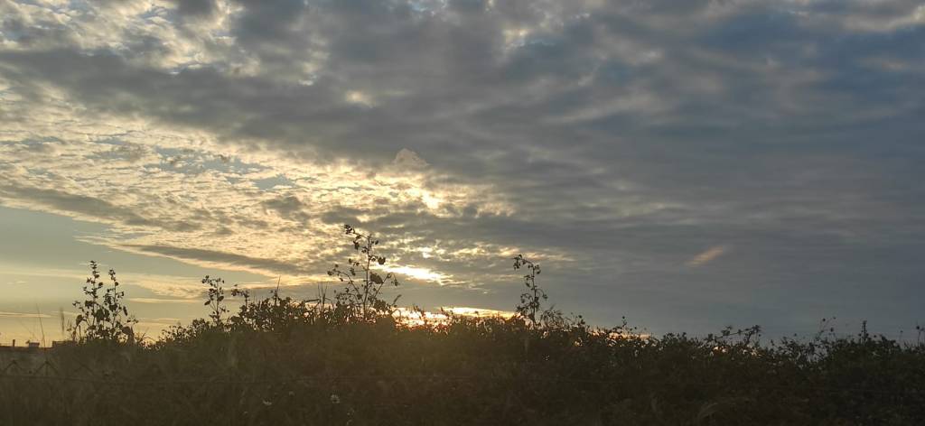 Noches misteriosas (Número 1012)