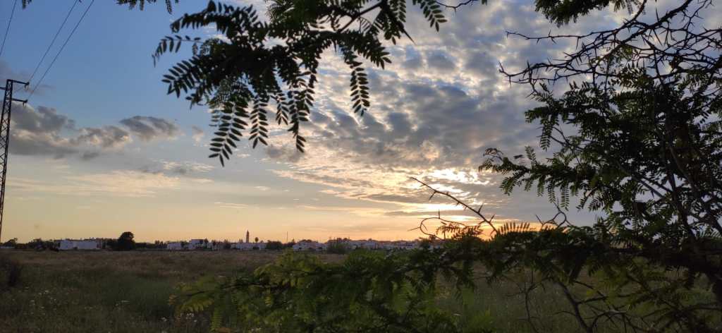 Avanzar (Número 1.010)