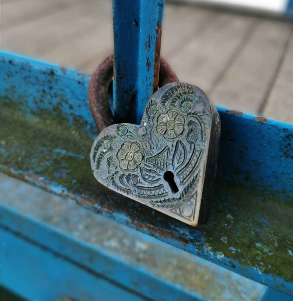 El amor gana (Número 1.008)