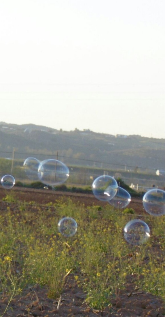 Rococó (Número 1.025)