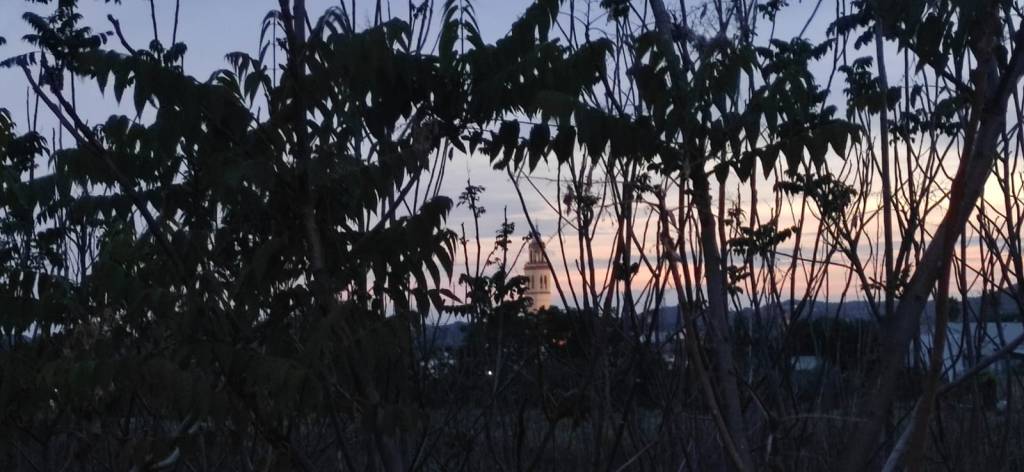 Nervios (Número 1.016)