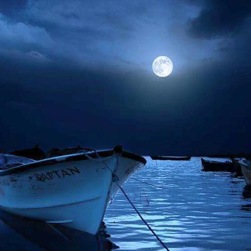 Lecho (Número 1.036)