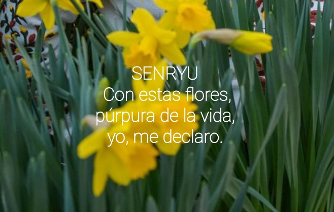 Senryu (Número 1.059)