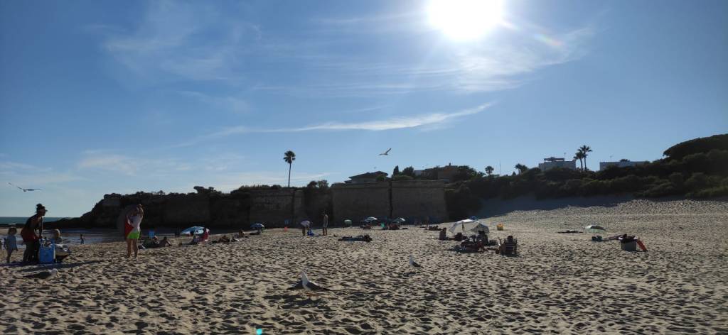 Impronta (Número 1.049)