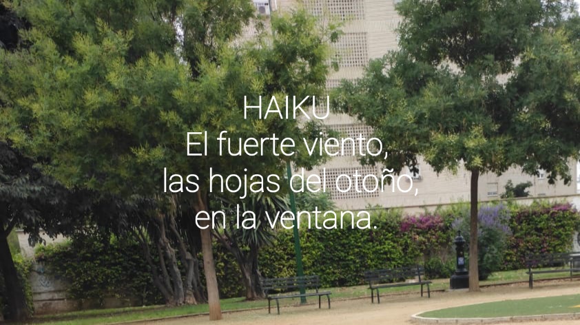 Haiku (Número 1.084)