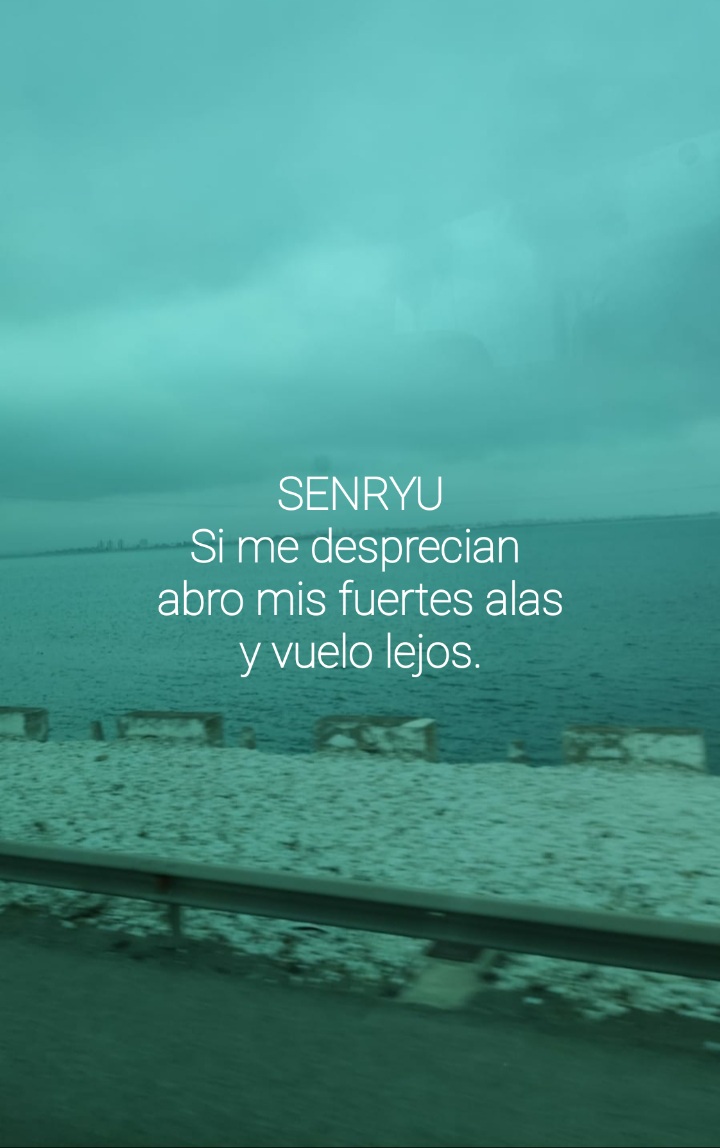 Senryu (Número 1.098)