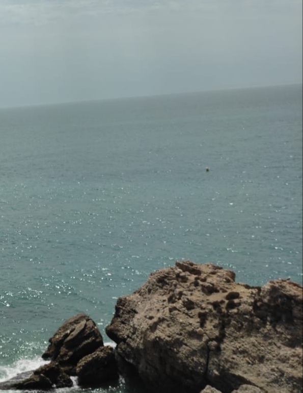 Horizonte (Número 1.101)