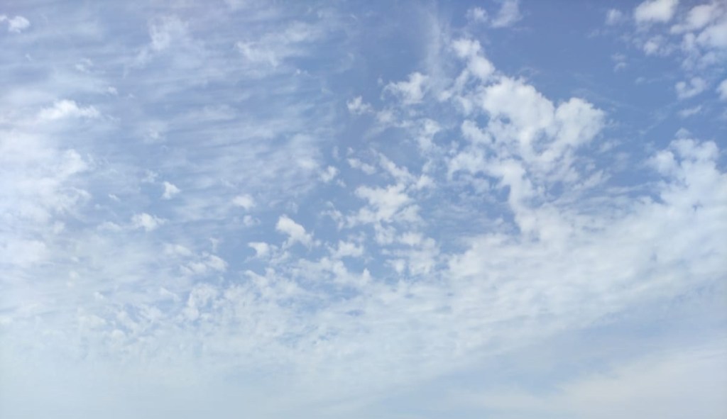 Poema para cantar (Número 1.109)