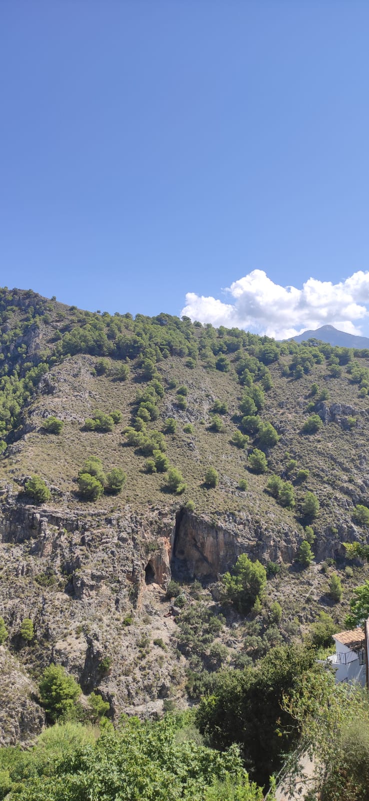 Protestas (Número 1.106)