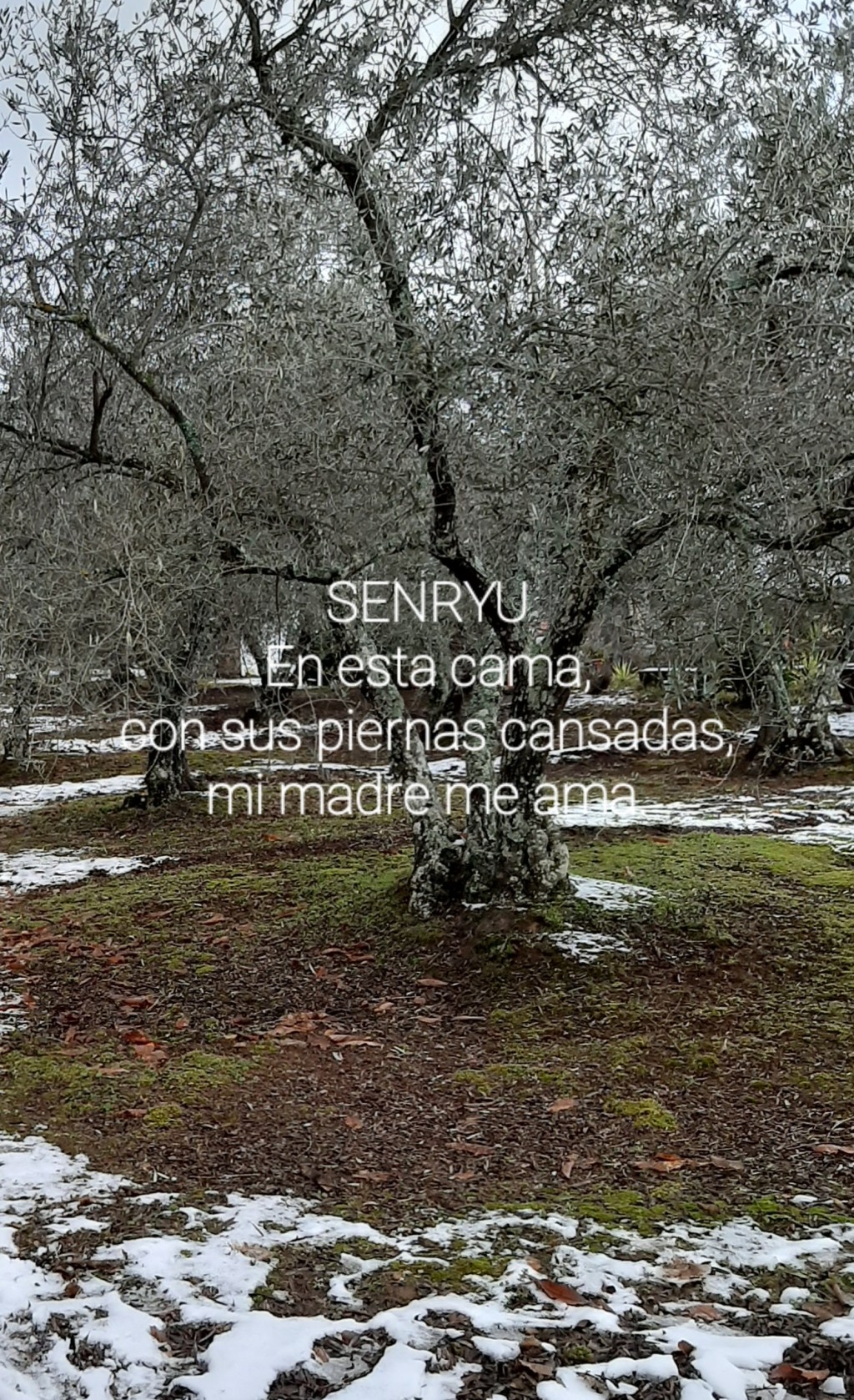 Senryu (Número 1.128)