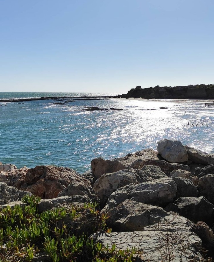 Haiku (Número 1.156)