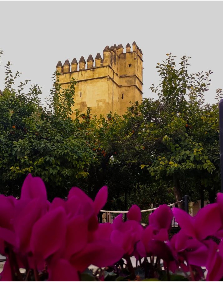 Bienvenida primavera (1.179)